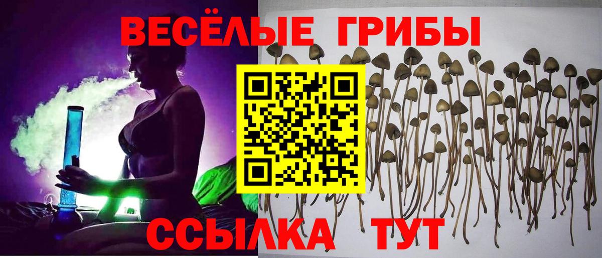Псилоцибиновые грибы ЛСД  Вход с VPN  Арсеньев  Псилоцибиновые грибы мицелий 