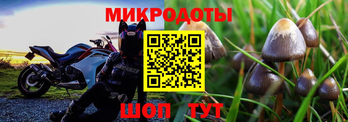 Галлюциногенные грибы прущие грибы Арсеньев